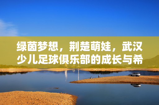 绿茵梦想，荆楚萌娃，武汉少儿足球俱乐部的成长与希望，荆楚萌娃绿茵逐梦，武汉少儿足球俱乐部的成长与希望
