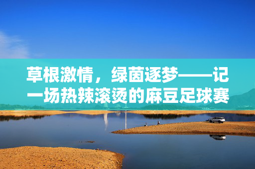 草根激情，绿茵逐梦——记一场热辣滚烫的麻豆足球赛，草根激情，绿茵逐梦，热辣滚烫的麻豆足球赛