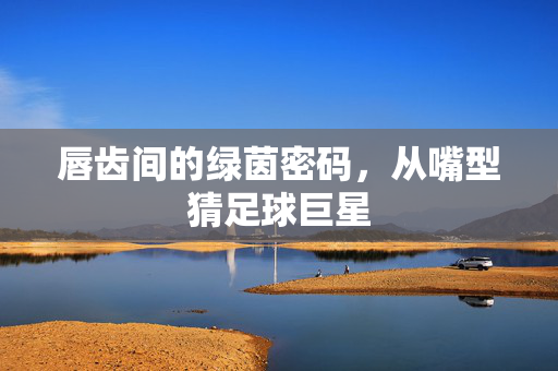 唇齿间的绿茵密码，从嘴型猜足球巨星