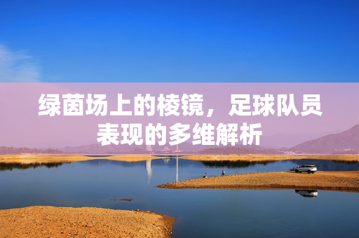 绿茵场上的棱镜，足球队员表现的多维解析