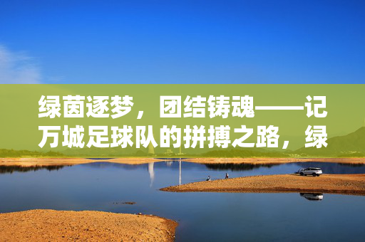 绿茵逐梦，团结铸魂——记万城足球队的拼搏之路，绿茵逐梦，团结铸魂——万城足球队的拼搏之路