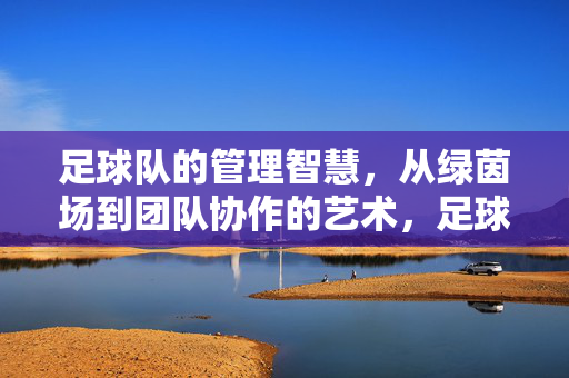 足球队的管理智慧，从绿茵场到团队协作的艺术，足球队管理智慧，从绿茵场到团队协作的艺术