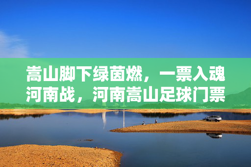 嵩山脚下绿茵燃，一票入魂河南战，河南嵩山足球门票观赛指南，河南嵩山足球门票观赛指南，一票入魂，绿茵燃战