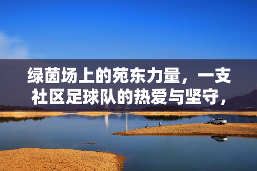 绿茵场上的苑东力量，一支社区足球队的热爱与坚守，绿茵场上的苑东力量，社区足球队的热爱与坚守
