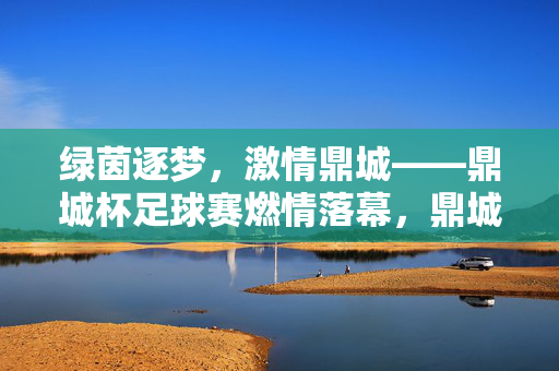 绿茵逐梦，激情鼎城——鼎城杯足球赛燃情落幕，鼎城杯足球赛燃情落幕
