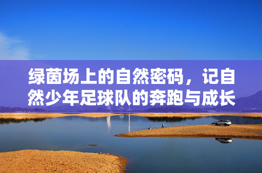 绿茵场上的自然密码，记自然少年足球队的奔跑与成长，自然少年足球队，绿茵奔跑的自然密码