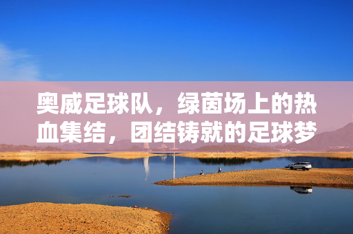 奥威足球队，绿茵场上的热血集结，团结铸就的足球梦想，绿茵热血集结，团结铸就奥威足球梦想