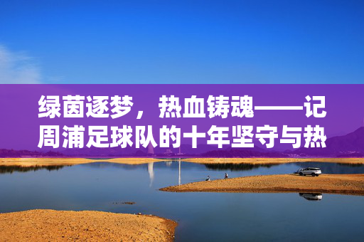 绿茵逐梦，热血铸魂——记周浦足球队的十年坚守与热爱，周浦足球队，十年绿茵逐梦，热血铸魂