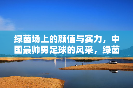 绿茵场上的颜值与实力，中国最帅男足球的风采，绿茵场上的颜值与实力，中国最帅男足球风采