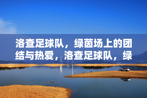 洛查足球队，绿茵场上的团结与热爱，洛查足球队，绿茵场上的团结与热爱