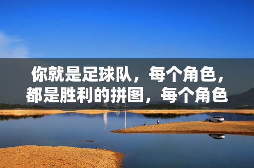 你就是足球队，每个角色，都是胜利的拼图，每个角色，都是胜利的拼图