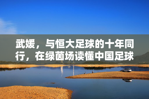 武媛,与恒大足球的十年同行,在绿茵场读懂中国足球的炽热与凉薄,武媛,十年恒大同行,绿茵场里的炽热与凉薄