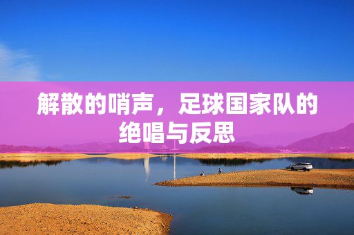 解散的哨声，足球国家队的绝唱与反思