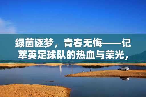 绿茵逐梦，青春无悔——记萃英足球队的热血与荣光，绿茵逐梦热血铸，青春无悔萃英荣