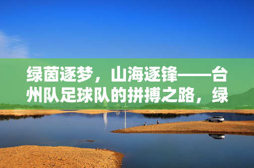 绿茵逐梦，山海逐锋——台州队足球队的拼搏之路，绿茵逐梦，山海逐锋