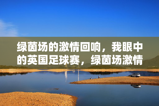 绿茵场的激情回响，我眼中的英国足球赛，绿茵场激情回响，我眼中的英国足球