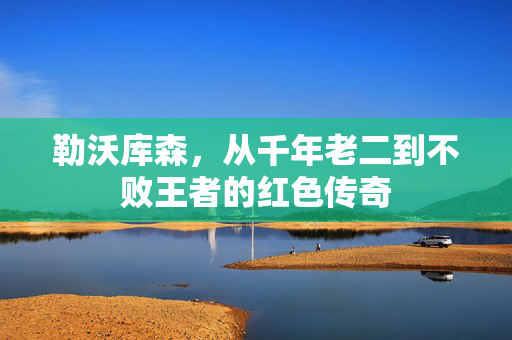 勒沃库森，从千年老二到不败王者的红色传奇