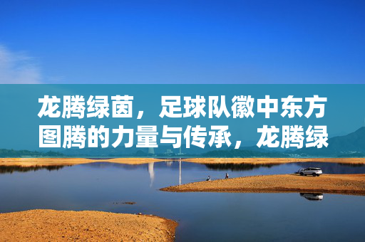 龙腾绿茵，足球队徽中东方图腾的力量与传承，龙腾绿茵，足球队徽的东方图腾力量传承