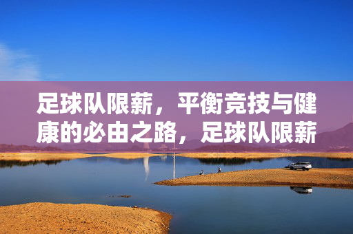 足球队限薪，平衡竞技与健康的必由之路，足球队限薪，平衡竞技与健康的必由之路