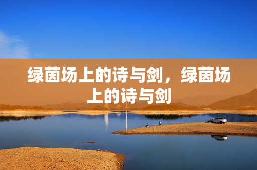 绿茵场上的诗与剑，绿茵场上的诗与剑