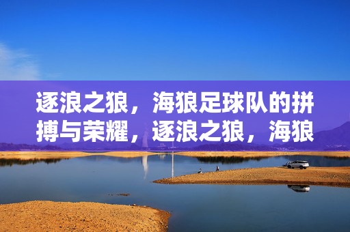 逐浪之狼，海狼足球队的拼搏与荣耀，逐浪之狼，海狼足球队的拼搏与荣耀