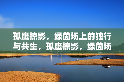孤鹰掠影，绿茵场上的独行与共生，孤鹰掠影，绿茵场的独行与共生