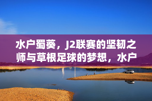 水户蜀葵，J2联赛的坚韧之师与草根足球的梦想，水户蜀葵，J2联赛的坚韧之师与草根足球梦想