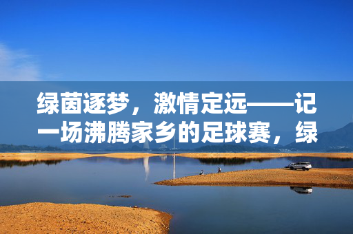 绿茵逐梦，激情定远——记一场沸腾家乡的足球赛，绿茵逐梦，激情定远——沸腾家乡的足球赛