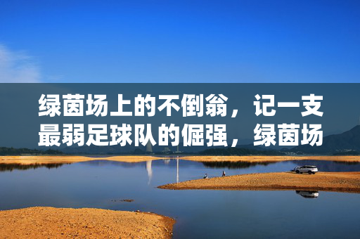 绿茵场上的不倒翁，记一支最弱足球队的倔强，绿茵场上的不倒翁，最弱球队的倔强