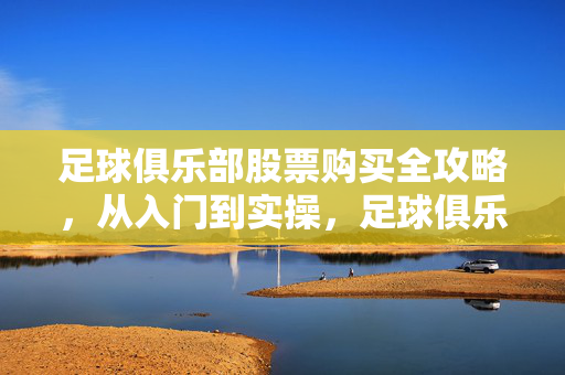 足球俱乐部股票购买全攻略，从入门到实操，足球俱乐部股票购买全攻略，从入门到实操