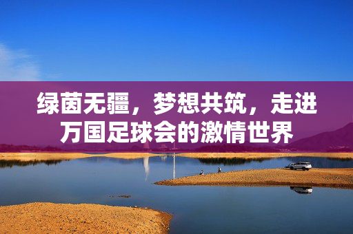 绿茵无疆，梦想共筑，走进万国足球会的激情世界