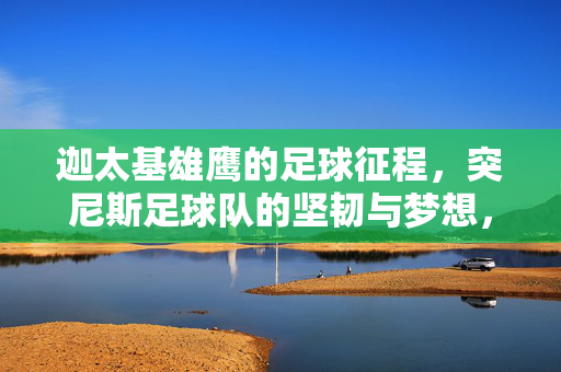 迦太基雄鹰的足球征程，突尼斯足球队的坚韧与梦想，迦太基雄鹰，坚韧与梦想的足球征程