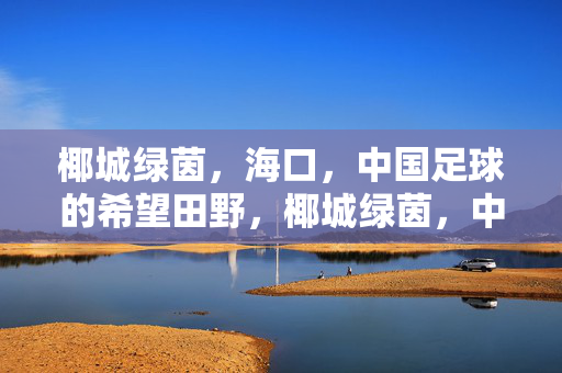 椰城绿茵，海口，中国足球的希望田野，椰城绿茵，中国足球的希望田野