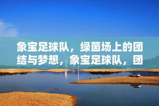 象宝足球队，绿茵场上的团结与梦想，象宝足球队，团结逐梦绿茵场
