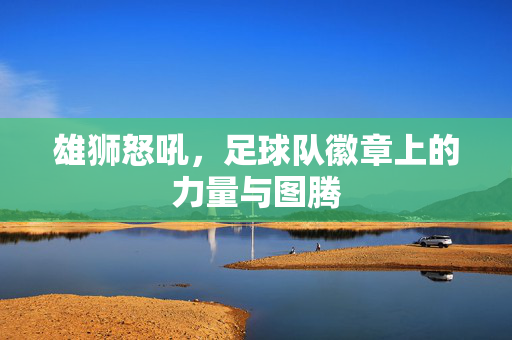 雄狮怒吼,足球队徽章上的力量与图腾