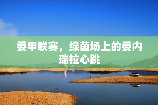 委甲联赛，绿茵场上的委内瑞拉心跳