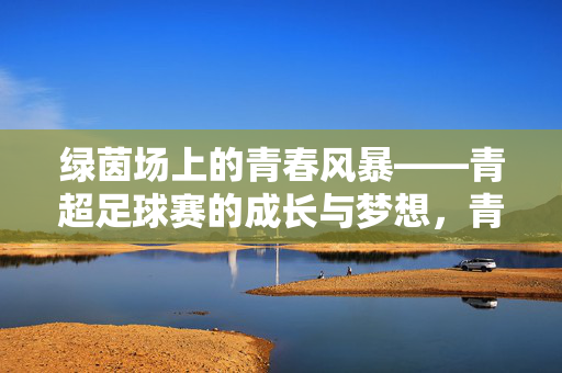 绿茵场上的青春风暴——青超足球赛的成长与梦想，青春风暴，青超足球赛的成长与梦想