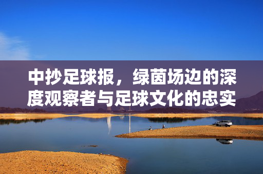中抄足球报，绿茵场边的深度观察者与足球文化的忠实记录者，绿茵场观察者，足球文化记录者——中抄足球报
