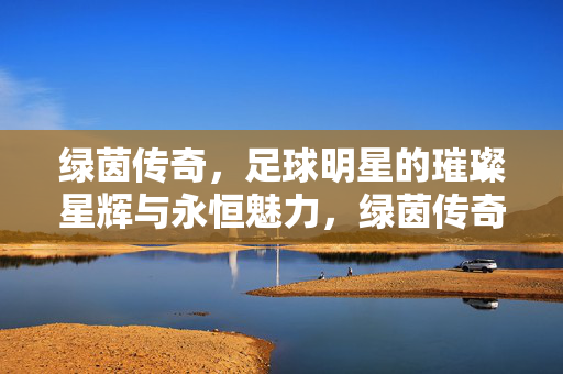绿茵传奇，足球明星的璀璨星辉与永恒魅力，绿茵传奇，足球明星的璀璨星辉与永恒魅力