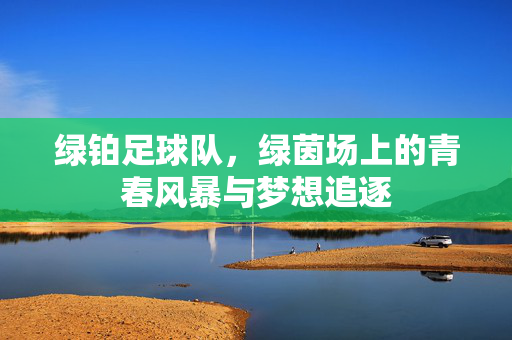 绿铂足球队，绿茵场上的青春风暴与梦想追逐