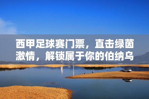 西甲足球赛门票，直击绿茵激情，解锁属于你的伯纳乌与诺坎普之约，直击绿茵激情，解锁你的西甲伯纳乌诺坎普之约