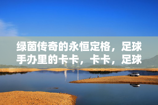 绿茵传奇的永恒定格，足球手办里的卡卡，卡卡，足球手办里的绿茵永恒定格