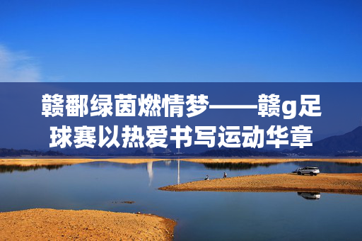 赣鄱绿茵燃情梦——赣g足球赛以热爱书写运动华章