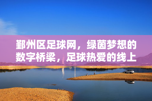 鄞州区足球网，绿茵梦想的数字桥梁，足球热爱的线上家园