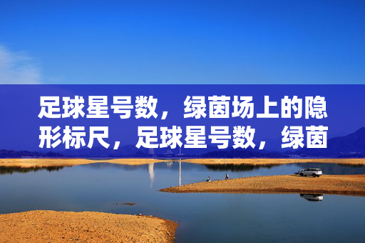 足球星号数，绿茵场上的隐形标尺，足球星号数，绿茵场上的隐形标尺