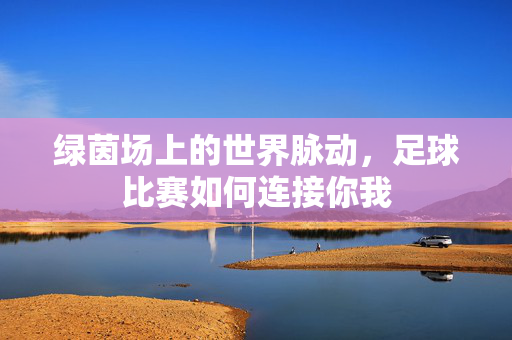 绿茵场上的世界脉动，足球比赛如何连接你我