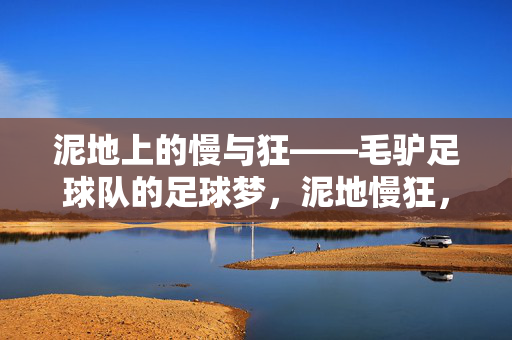 泥地上的慢与狂——毛驴足球队的足球梦,泥地慢狂,毛驴的足球梦
