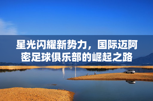 星光闪耀新势力，国际迈阿密足球俱乐部的崛起之路