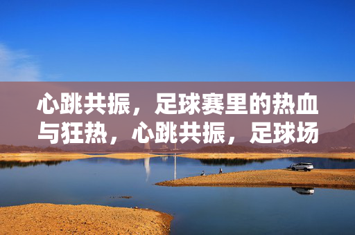 心跳共振，足球赛里的热血与狂热，心跳共振，足球场的热血狂热