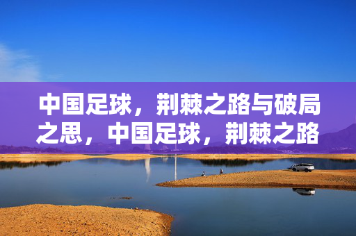 中国足球，荆棘之路与破局之思，中国足球，荆棘之路与破局之思